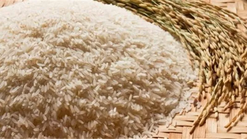 بشرى سارة من غرفة صناعة الحبوب.. انخفاض أسعار الأرز الأبيض
