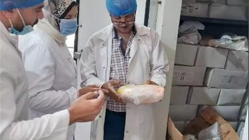 ضبط ٨٤٥ كجم لحوم ودجاج وجمبرى مخالف وتحرير ١٧محضرا بالشرقية