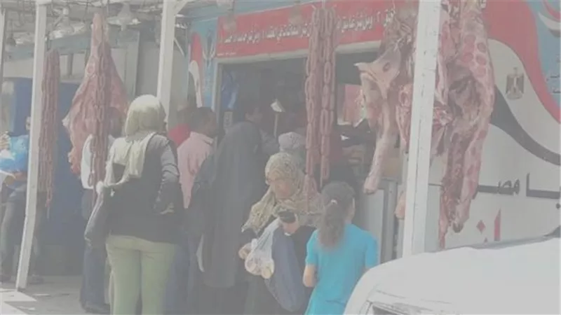 ضخ 6 آلاف طن لحوم برازيلية وهندية مجمدة..و4500 طن دواجن