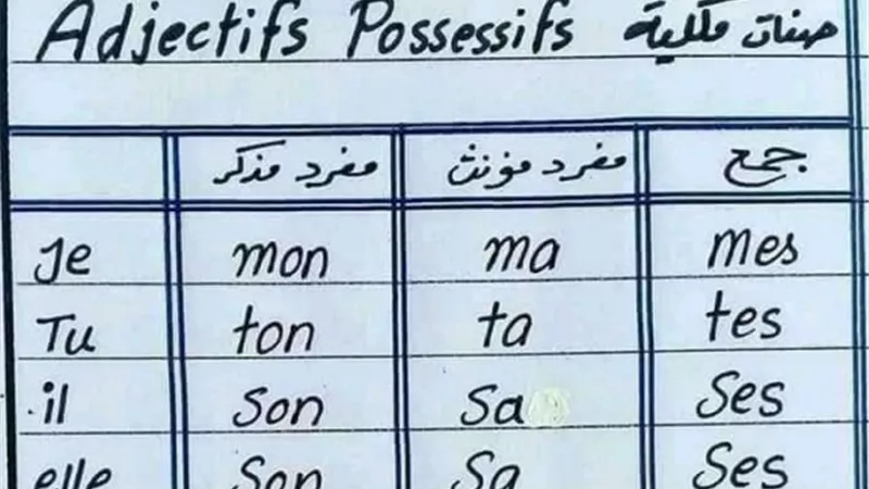 ملخص فرنساوى ومراجعة ليلة الامتحان للثانوية العامة