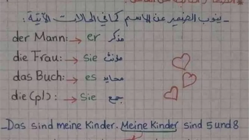 ليلة الامتحان في الالماني.. ملخص المنهج بالكامل