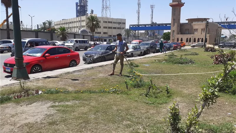 زراعة 135 ألف شجرة مثمرة بالأسكندرية