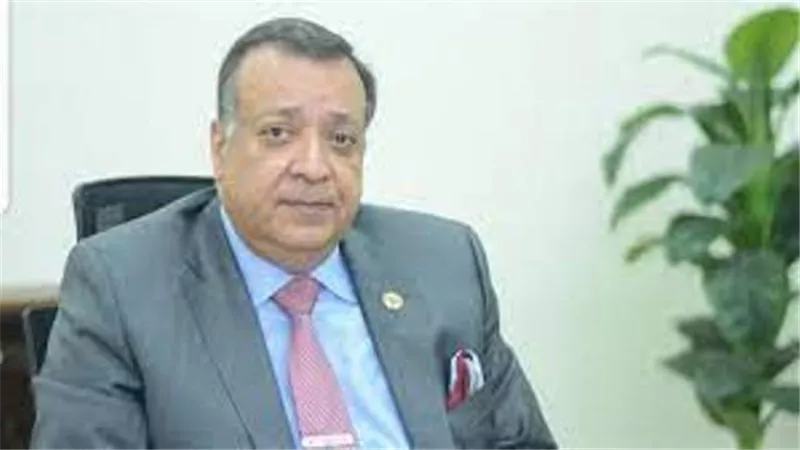 سعد الدين: قطاع البترول والطاقة الأكثر جذباً للإستثمارات الاجنبية