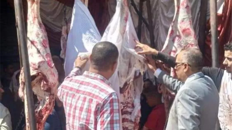 استمرار فتح منافذ للسلع الغذائية بمراكز المنيا