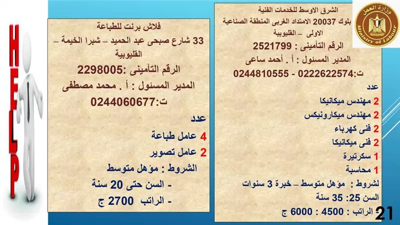 وظائف القوي العامله الجديدة 2023 بالقليوبية .. تعرف عليها