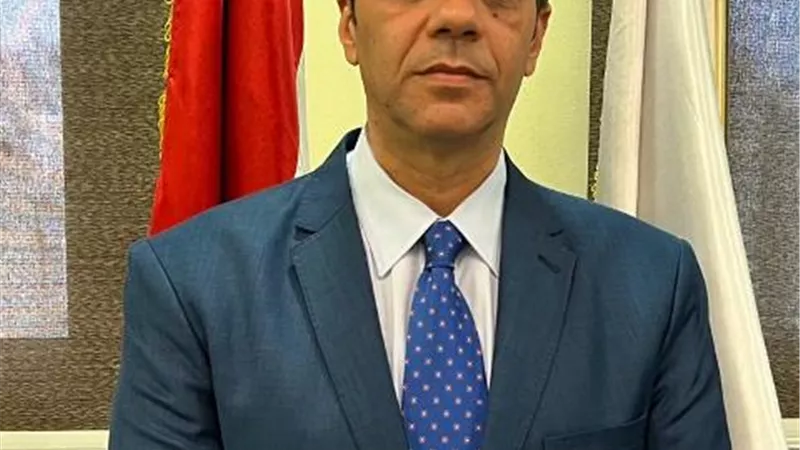 المستشار وليد حمزة رئيسا للهيئة الوطنية للانتخابات