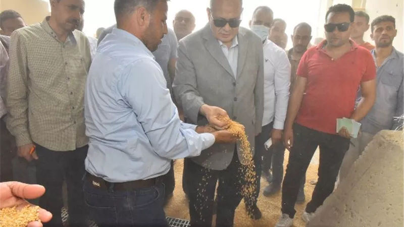 محافظ أسيوط يعلن ارتفاع نسبة توريد القمح الى 132 ألف طن
