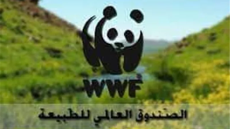 روسيا تحظر نشاطات 4 منظمات دولية غير حكومية على أراضيها