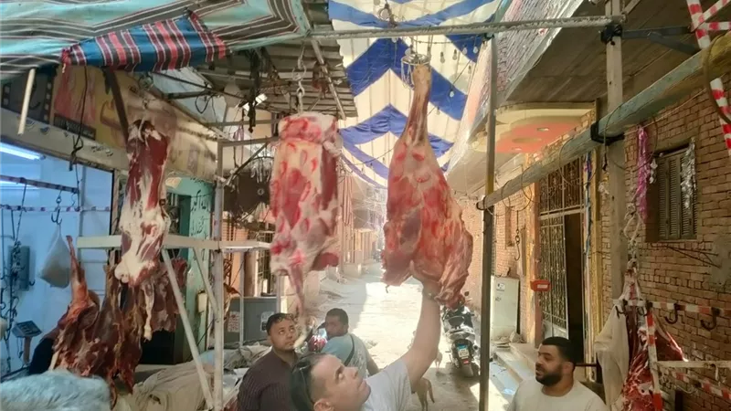 ضبط ٧٧٣ كيلو لحوم وهياكل منتهية الصلاحية بالعجوزة