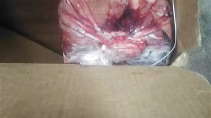 ضبط ١٩٦ كيلو لحوم ودواجن منتهية الصلاحية بالأقصر
