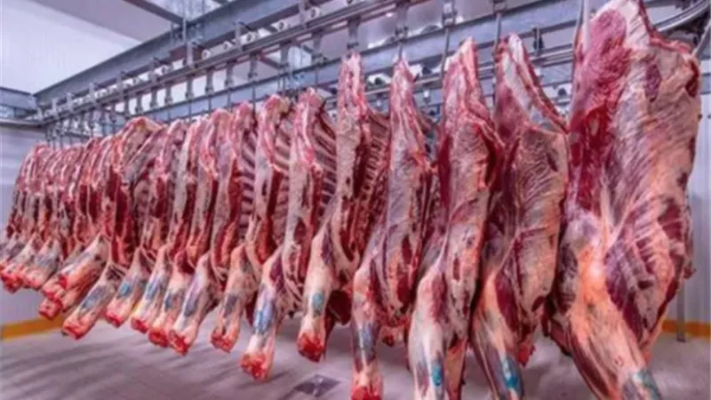 وزارة الزراعة تعلن توفر اللحوم البلدي بأسعار مناسبة للمواطنين