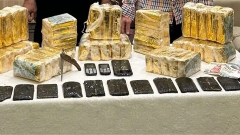 ضبط شخصين بـ250 طربة حشيش في الجيزة