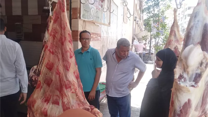 استعدادا للعيد ..ضبط ١٩ مخالفة بيع لحوم فاسدة في قنا..صور
