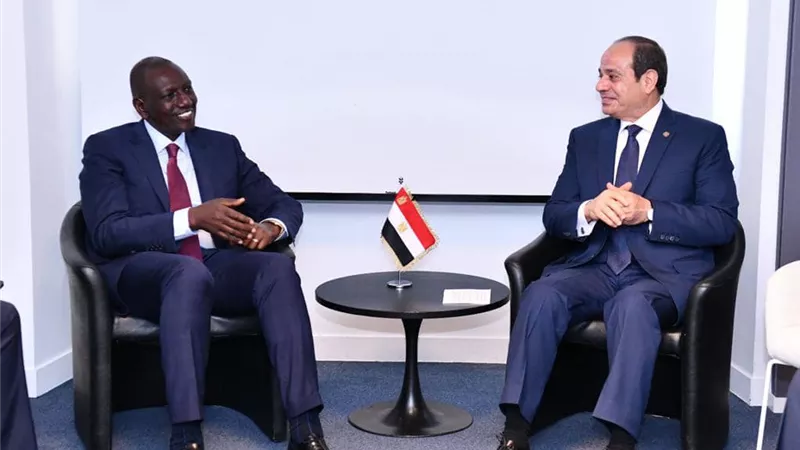 الرئيس السيسي يؤكد حرص مصر على ترسيخ التعاون الاستراتيجي مع كينيا