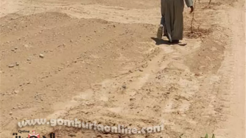 إزالة تعدى على ٢٢٨ فدان من أملاك الدولة بالزينية شمال الأقصر