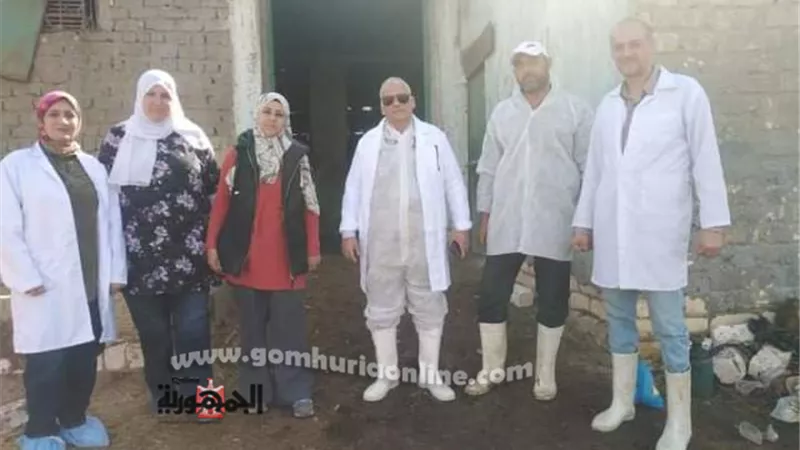 السويس تستعد لأستقبال عيد الأضحي المبارك