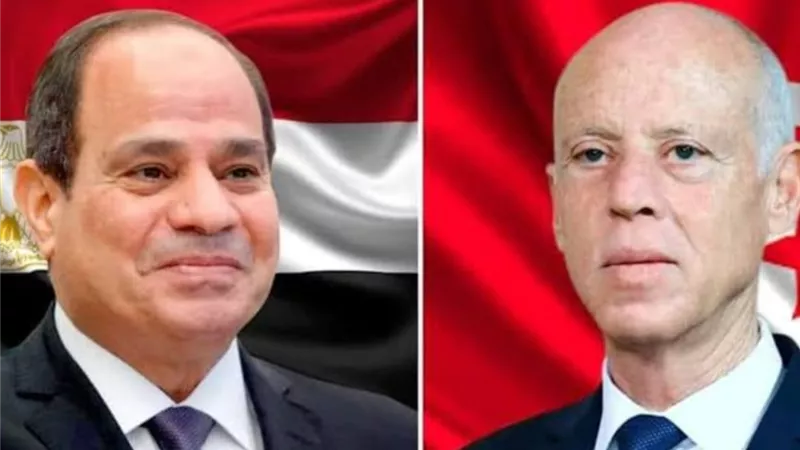 الرئيس السيسي يؤكد لنظيره التونسي حرص مصر على دفع التعاون الثنائي على كافة الأصعدة