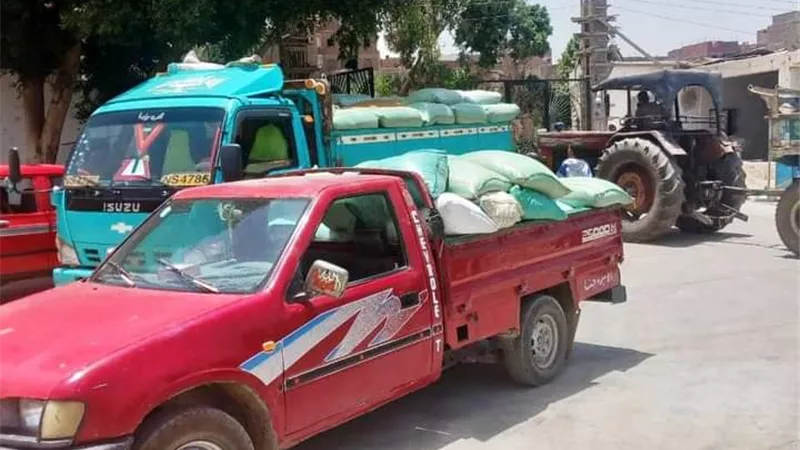 توريد أكثر من 124 ألف طن قمح لشون وصوامع سوهاج