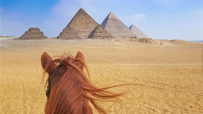 8 انشطة يمكن القيام بها فى اجازة عيد الاضحى