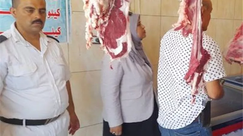 ضبط 1030 كيلو لحوم تالفة قبل عيد الأضحى بالإسماعيلية..صور
