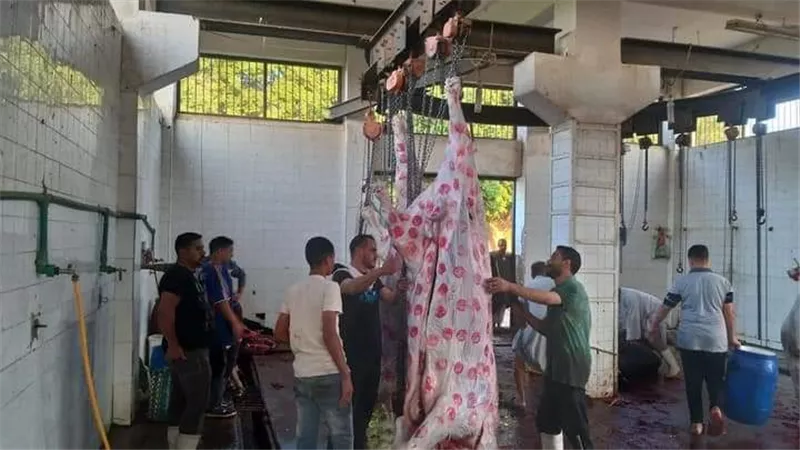 فتح 38 مجزراً لذبح الأضاحى مجانا على مستوى مراكز محافظة المنيا