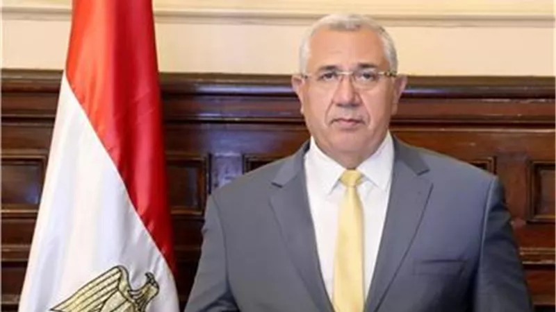 ذبح الأضاحي بالمجازر الحكومية مجانا طوال أيام العيد.. فيديو
