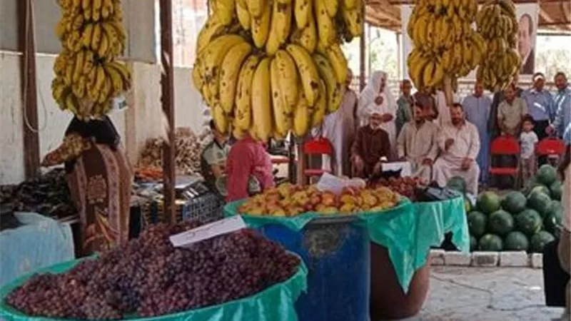 إفتتاح منفذ مستقبل وطن للمواد الغذائية بأبوصوير الإسماعيلية