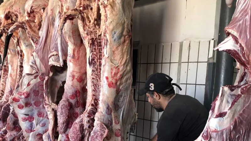 المجازر الحكومية مجانا خلال أيام عيد الاضحى المبارك بالاسكندرية