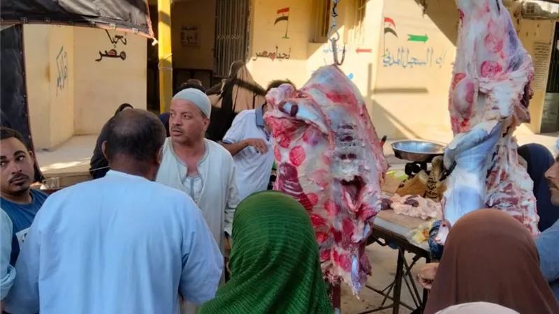استمرار فتح منافذ بيع اللحوم والأضاحى بأسعار مخفضة في قرى المنيا