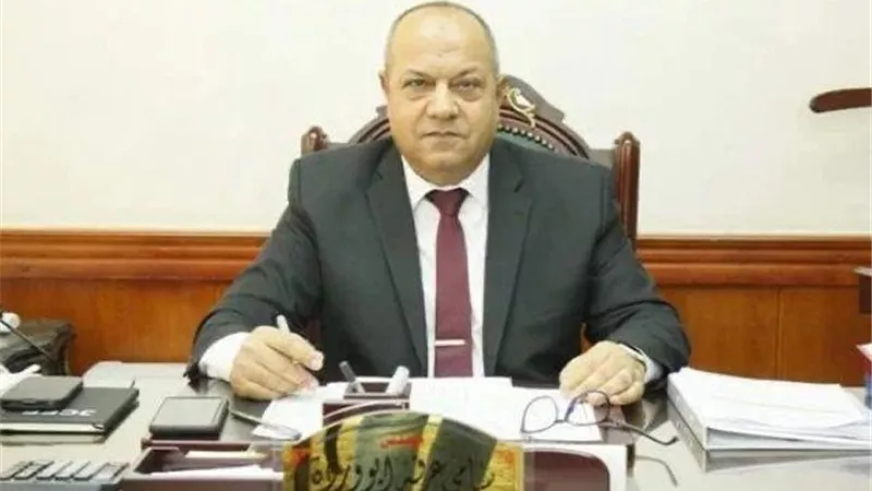 بشرة خير من كهرباء مدينة الشروق لاستعدادات عيد الأضحى.. بالصور