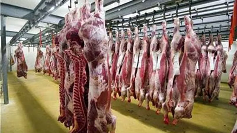 استعدادًا للعيد.. زيادة معدلات ضخ اللحوم بالمجمعات الاستهلاكية