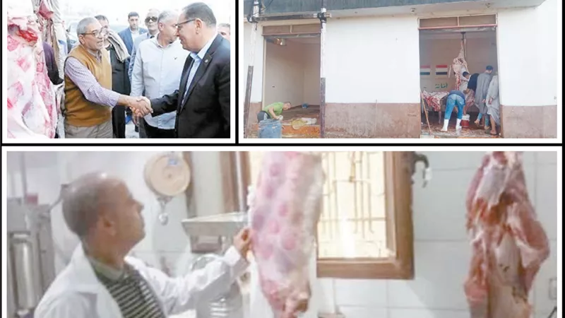 المحافظات وفرت اللحوم البلدية.. بأسعار تنافسية