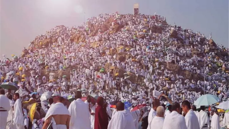 غدا.. ضيوف الرحمن يتوجهون إلى صعيد عرفات لأداء ركن الحج الأعظم