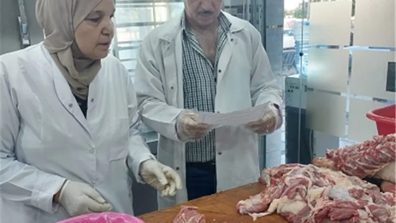 تحرير24 محضروضبط 790 كجم لحوم مذبوحة خارج المجازربالشرقية