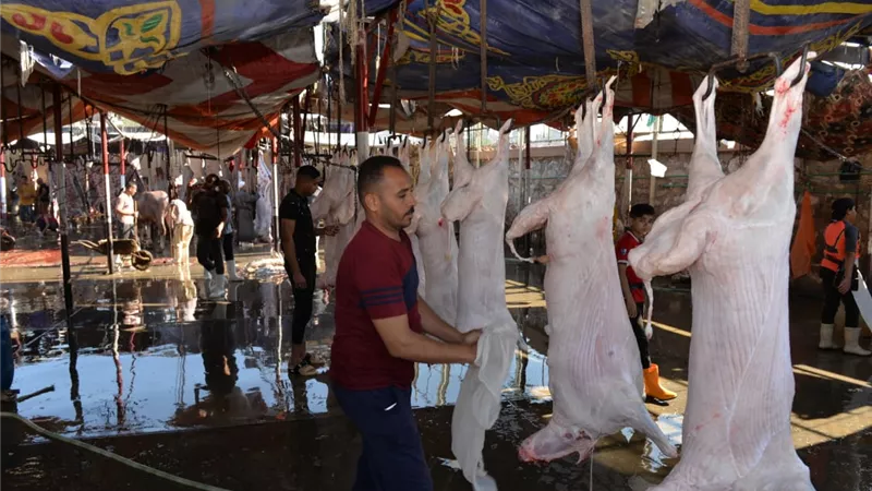 مجزر ميت الكرماء بطلخا جاهز لاستقبال اضاحي العيد