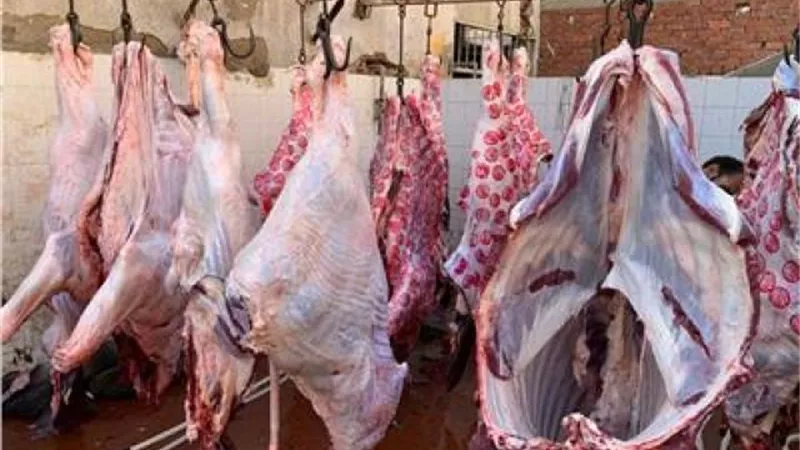 مصادرة 815 كيلو لحوم مذبوحة خارج المجازر بالغربية