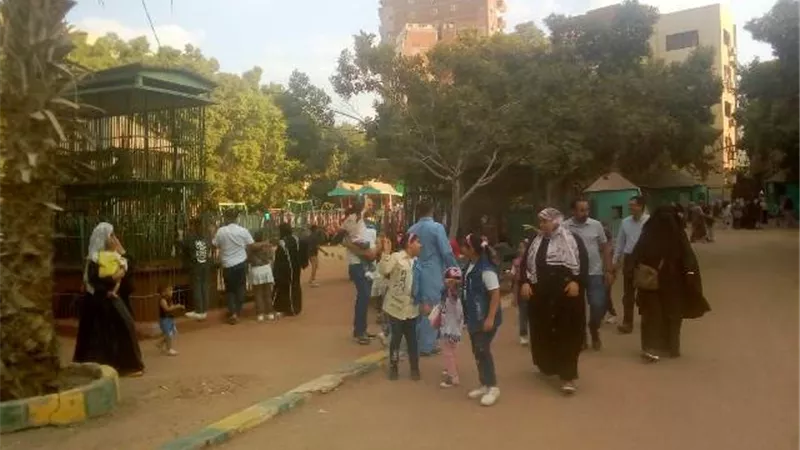 طوارئ بمستشفيات الشرقية وحملات على الأسواق استعداداً لعيد الأضحى