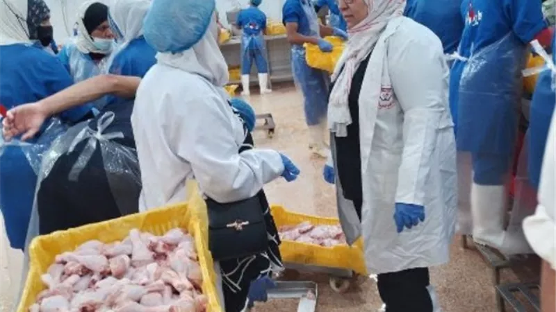 ضبط 2 طن لحوم وتحرير 77 محضر خلال حملة بالشرقية