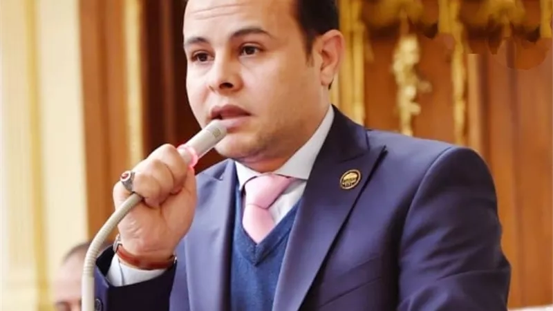 برلماني: ثورة 30 يونيو حققت أهداف الوطن والمواطنين