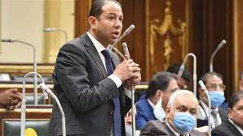 النائب حسن عمار : مصر .. صوت القارة الأفريقية