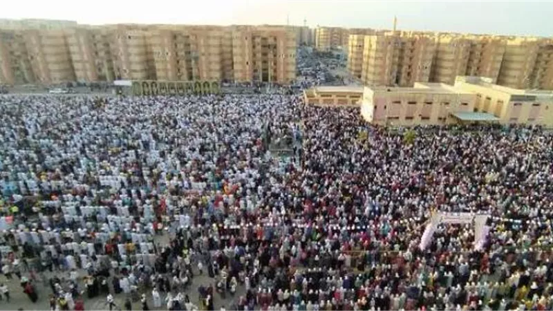 مستقبل وطن بدر يكشف تفاصيل أنجح فاعليات عيد الأضحى فى مصر.. فيديو