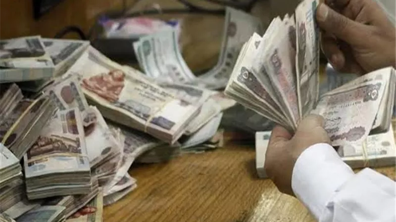 وزير المالية:202مليار جنيه من الخزانة العامة لدعم صناديق المعاشات