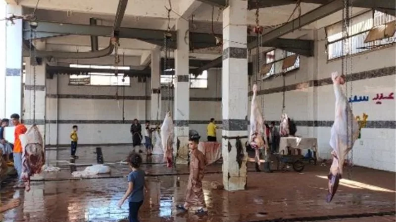بيطري الشرقية يشرف على ذبح 630 رأس ماشية بمجازر المحافظة