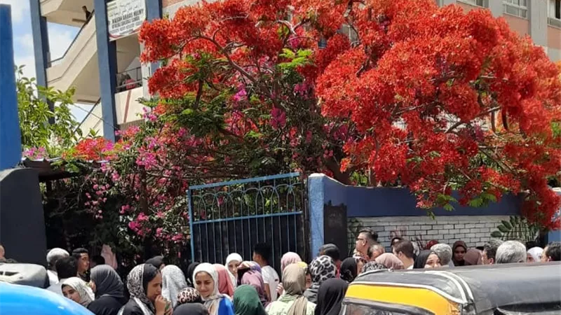 الفيزياء صالحت طلاب العلمى بالاسكندريه..والتاريخ افسد فرحة الادبي