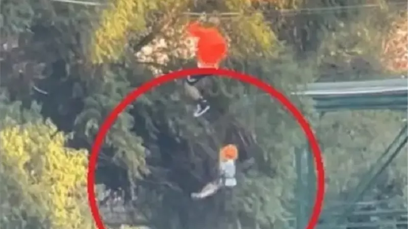 طفل يسقط على الأرض من حبل انزلاق .. فيديو