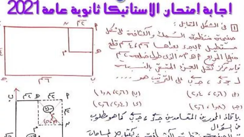 امتحان الاستاتيكا دور أول 2021 بالاجابات النموذجية