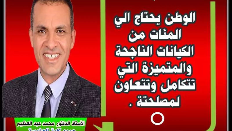 الكيانات الناجحة