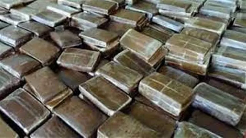 ضبط كميات كبيرة من المواد المخدرة في حملة أمنية موسعة بدمياط