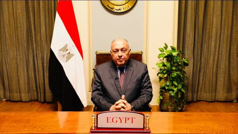 وزيرا خارجية مصر وصريبا يفتتحان ندوة أكاديمية