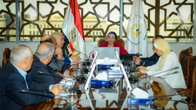 البيئة تناقش دعم مشروع إنتاج الأخشاب الـ«MDF» فى مصر